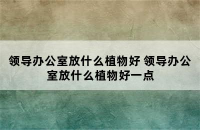 领导办公室放什么植物好 领导办公室放什么植物好一点